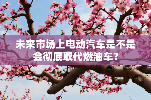 未来市场上电动汽车是不是会彻底取代燃油车？