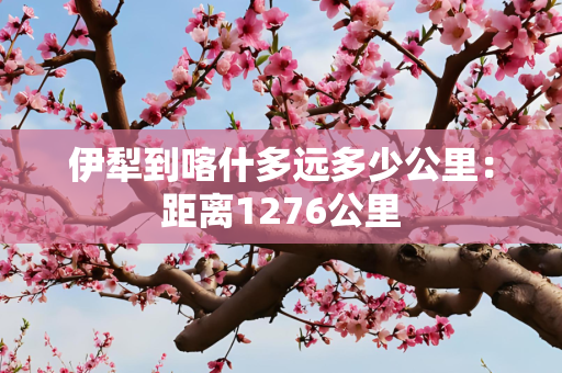 伊犁到喀什多远多少公里：距离1276公里