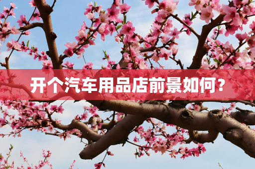 开个汽车用品店前景如何？