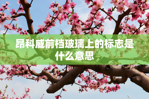 昂科威前档玻璃上的标志是什么意思