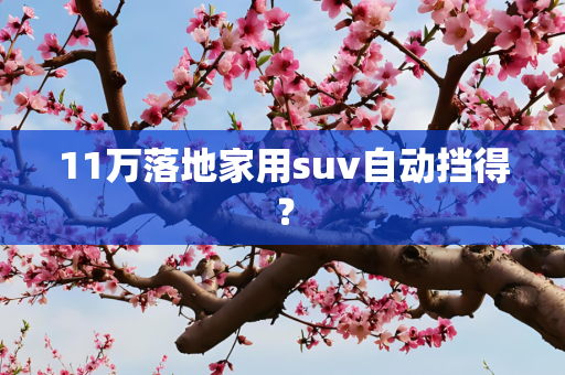 11万落地家用suv自动挡得？