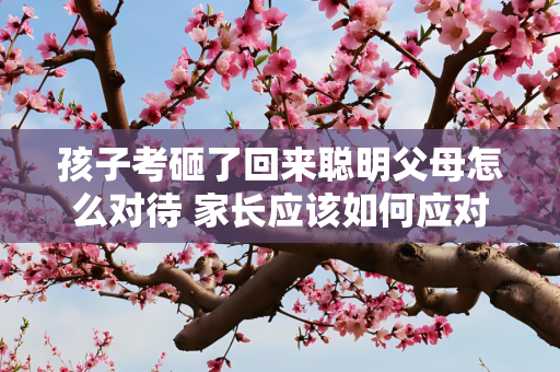 孩子考砸了回来聪明父母怎么对待 家长应该如何应对