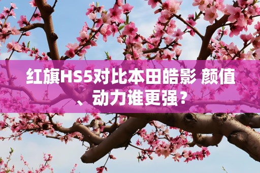 红旗HS5对比本田皓影 颜值、动力谁更强？