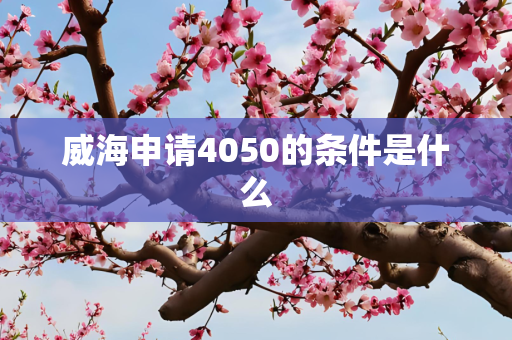 威海申请4050的条件是什么