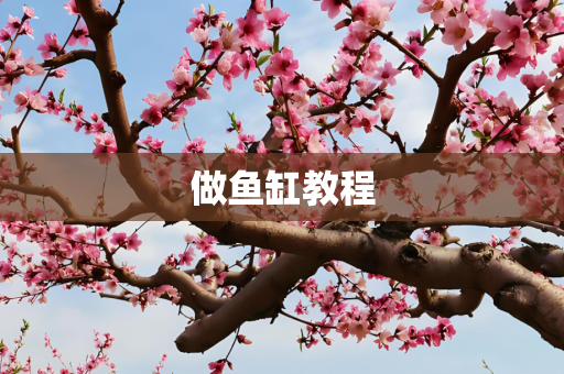 做鱼缸教程