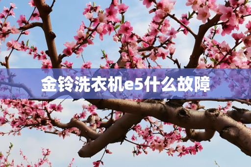 金铃洗衣机e5什么故障