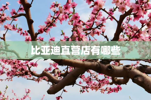 比亚迪直营店有哪些
