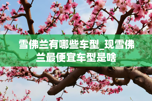 雪佛兰有哪些车型_现雪佛兰最便宜车型是啥