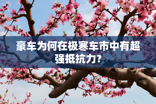 豪车为何在极寒车市中有超强抵抗力？