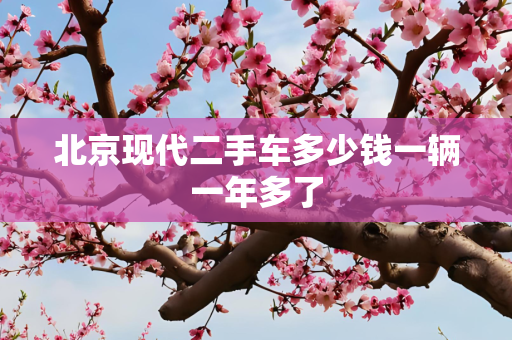 北京现代二手车多少钱一辆一年多了