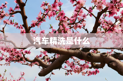 汽车精洗是什么