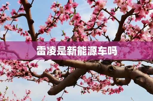 雷凌是新能源车吗