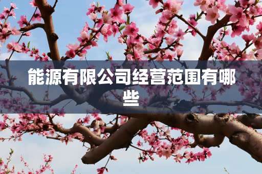 能源有限公司经营范围有哪些