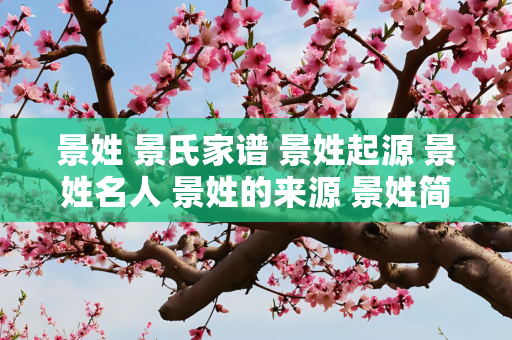 景姓 景氏家谱 景姓起源 景姓名人 景姓的来源 景姓简介