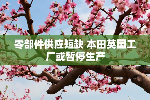 零部件供应短缺 本田英国工厂或暂停生产