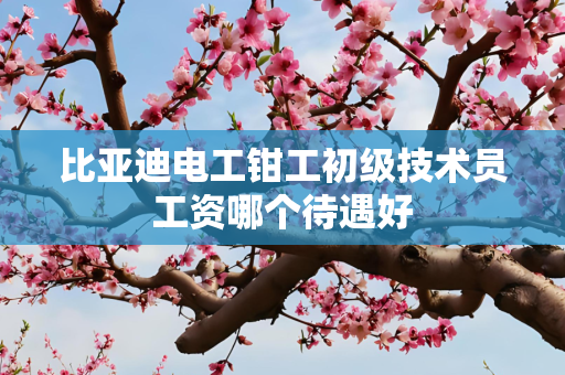 比亚迪电工钳工初级技术员工资哪个待遇好