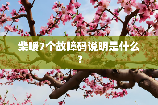 柴暖7个故障码说明是什么？
