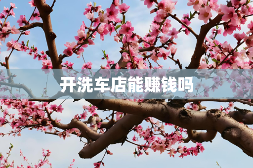 开洗车店能赚钱吗