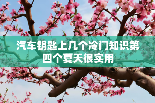 汽车钥匙上几个冷门知识第四个夏天很实用