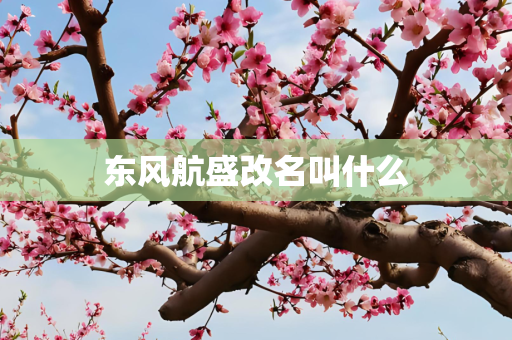 东风航盛改名叫什么