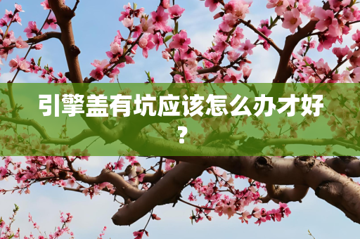引擎盖有坑应该怎么办才好？