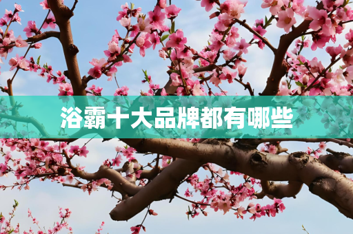 浴霸十大品牌都有哪些