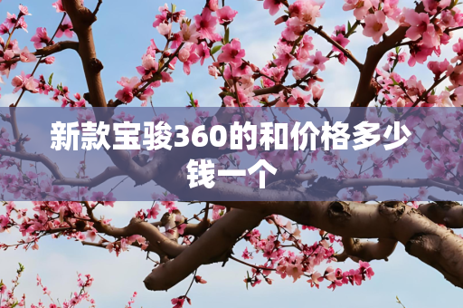 新款宝骏360的和价格多少钱一个
