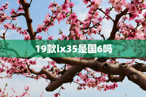 19款ix35是国6吗