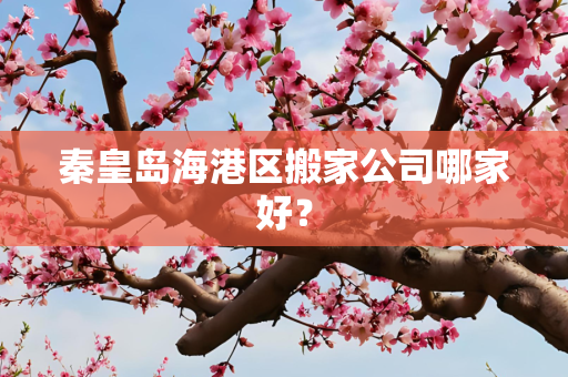 秦皇岛海港区搬家公司哪家好？