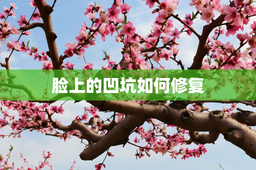 脸上的凹坑如何修复