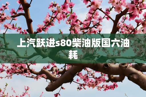上汽跃进s80柴油版国六油耗
