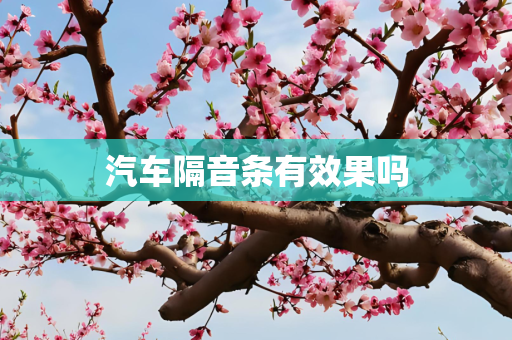 汽车隔音条有效果吗