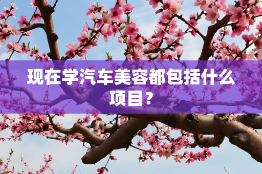 信息 第249页