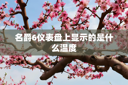 名爵6仪表盘上显示的是什么温度