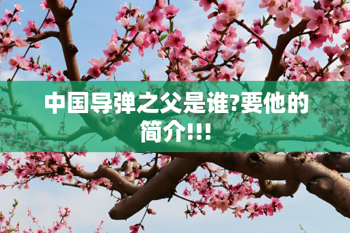 中国导弹之父是谁?要他的简介!!!
