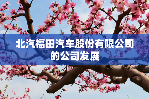 北汽福田汽车股份有限公司的公司发展