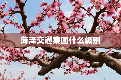 菏泽交通集团什么级别