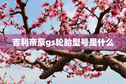 吉利帝豪gs轮胎型号是什么