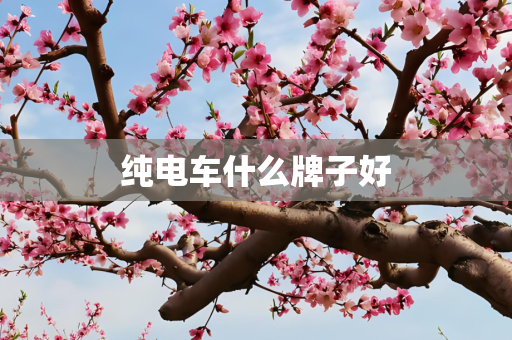 纯电车什么牌子好