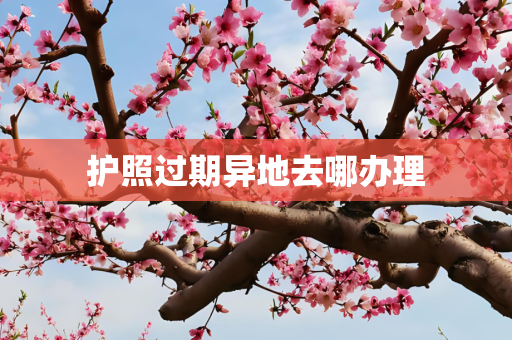 护照过期异地去哪办理
