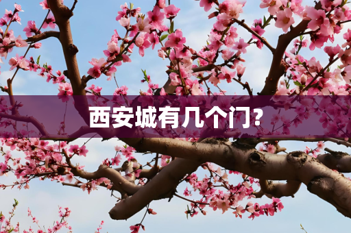 西安城有几个门？