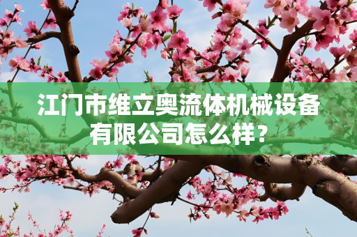 江门市维立奥流体机械设备有限公司怎么样？