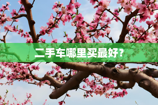 二手车哪里买最好？