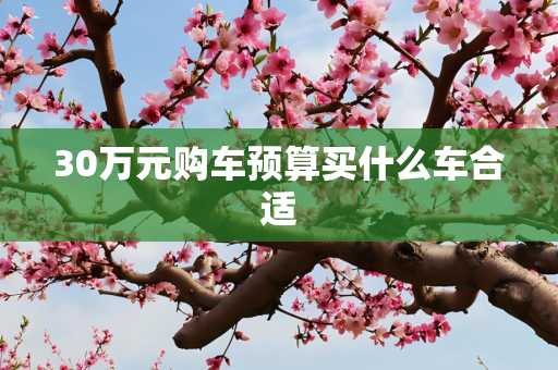30万元购车预算买什么车合适