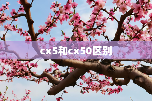 cx5和cx50区别