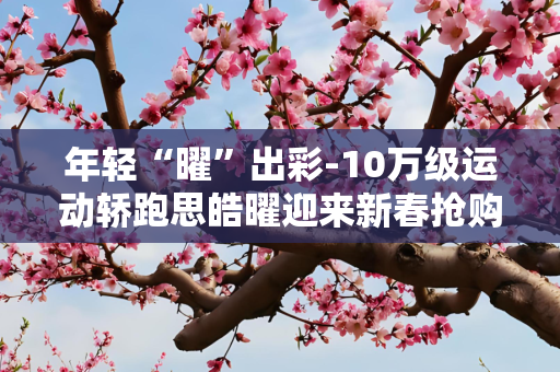 年轻“曜”出彩-10万级运动轿跑思皓曜迎来新春抢购潮