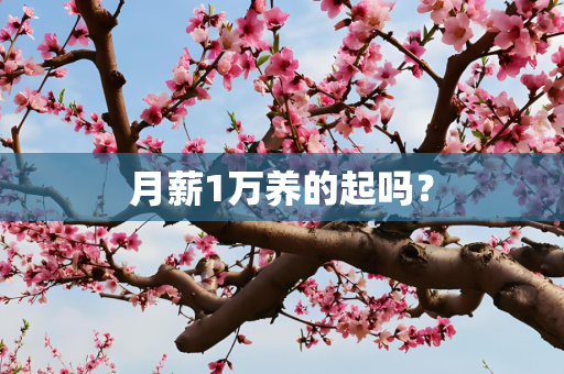 月薪1万养的起吗？