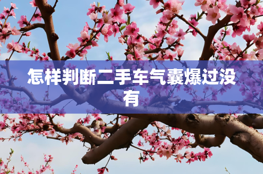 怎样判断二手车气囊爆过没有