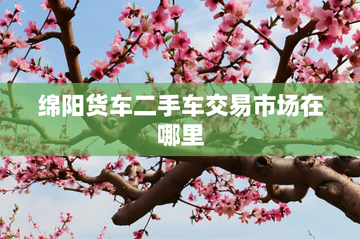 绵阳货车二手车交易市场在哪里