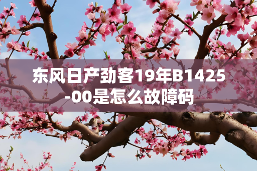东风日产劲客19年B1425-00是怎么故障码